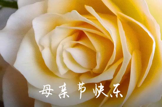 2024母亲节简短8字祝福语  母亲节祝福语十个字左右